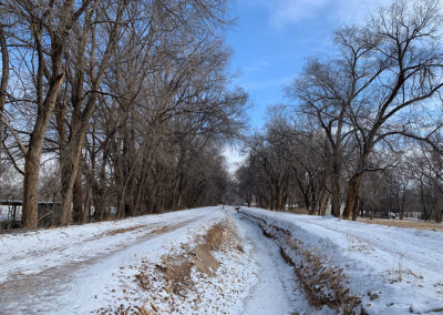 Bosque Trail